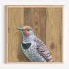 Northern Flicker Woodpecker - Fine Art Print - Freshie & Zero Studio Shop