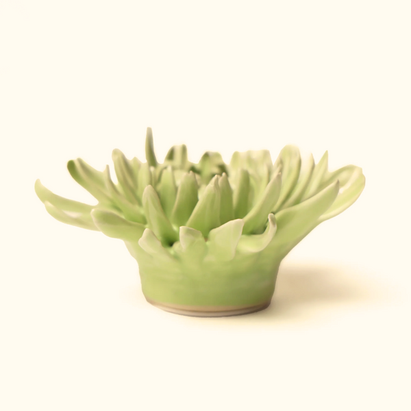 Ceramic Bloom: Lime Mum - Freshie & Zero Studio Shop