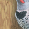 Northern Flicker Woodpecker - Fine Art Print - Freshie & Zero Studio Shop