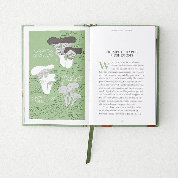 Mushroom Hunting: Pocket Nature Series - Freshie & Zero Studio Shop