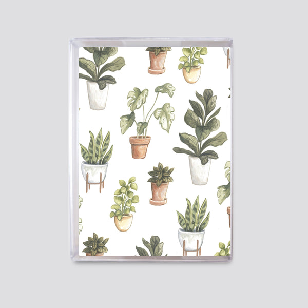 Mini Boxed Set of 8 Plant Cards - Freshie & Zero Studio Shop