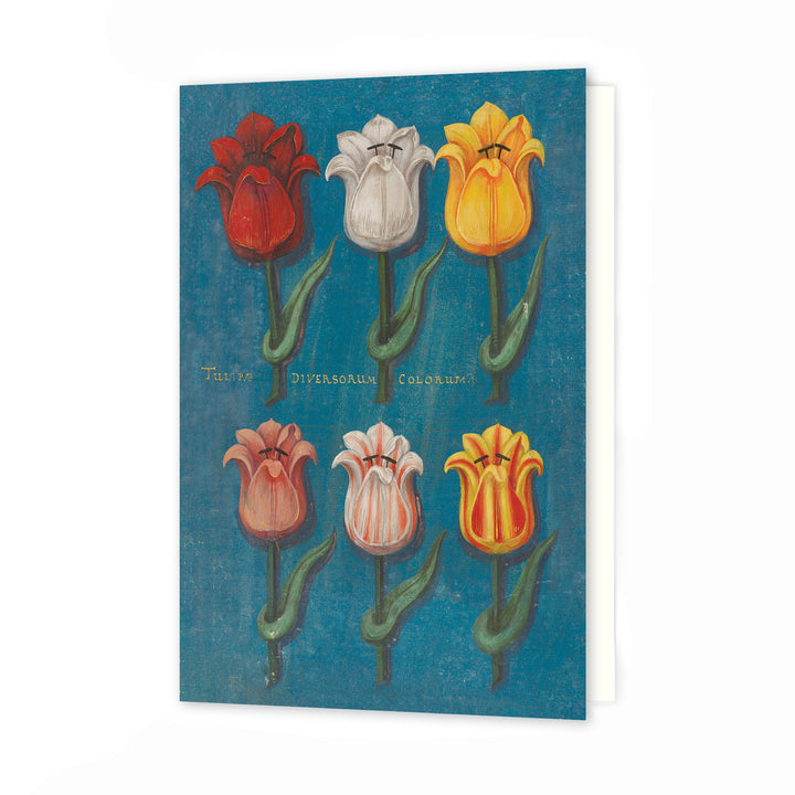 Blue Illustrated Flowers Greeting Card - Freshie & Zero Studio Shop