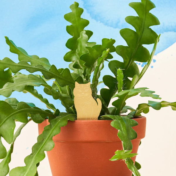 Brass Plant Pet: Cat - Freshie & Zero Studio Shop