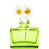 Mini Glass Rectangle Bud Vase - Green - Freshie & Zero Studio Shop