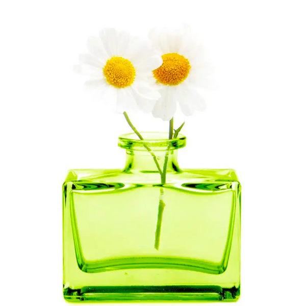 Mini Glass Rectangle Bud Vase - Green - Freshie & Zero Studio Shop