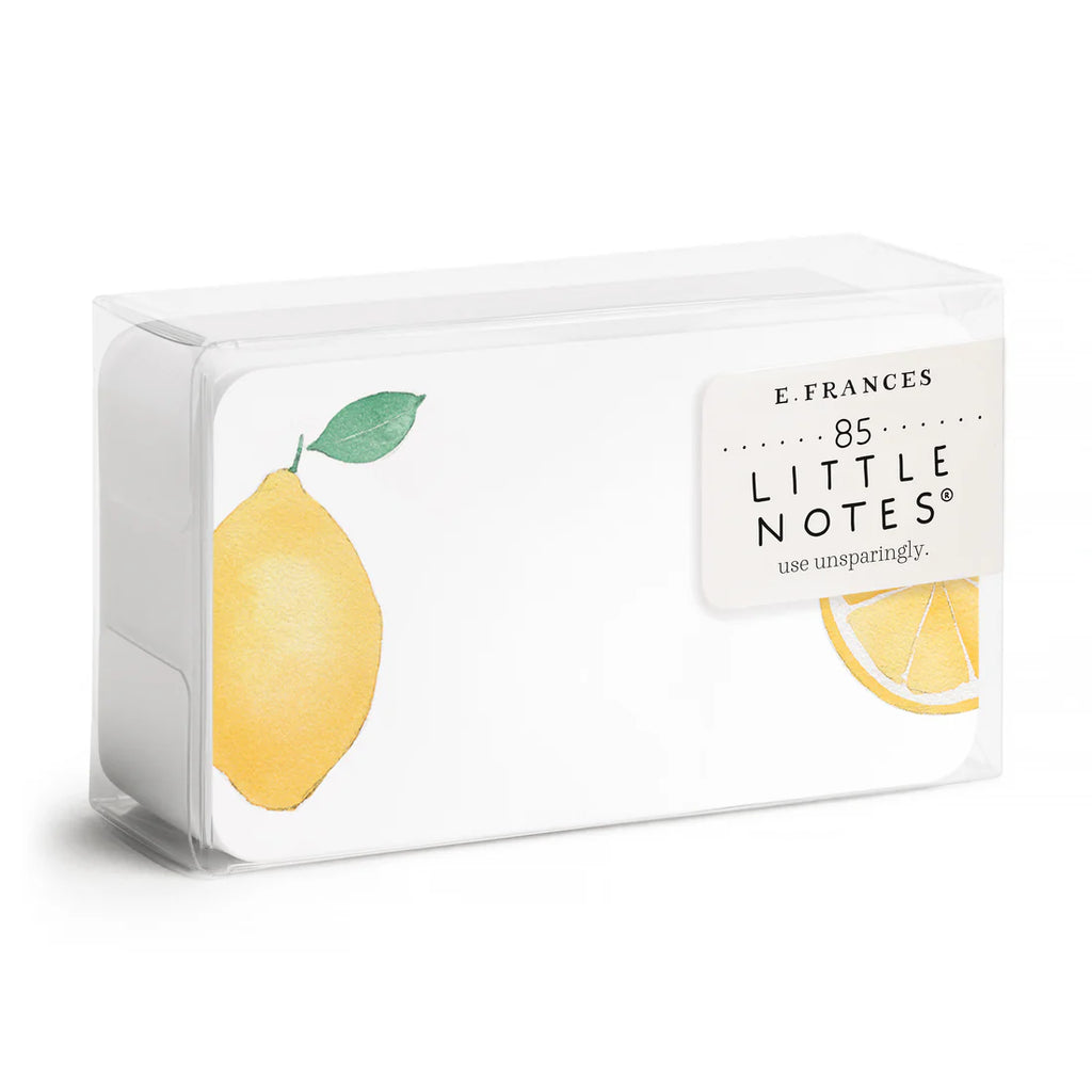Little Notes Notecards - Sunny Styles - Freshie & Zero Studio Shop