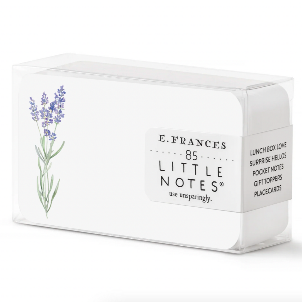 Little Notes Notecards - Sunny Styles - Freshie & Zero Studio Shop