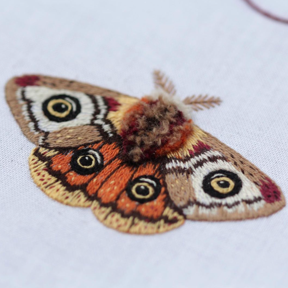Embroidery Sampler Kit: Moth | Beginner - Freshie & Zero Studio Shop