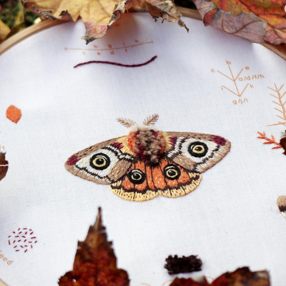 Embroidery Sampler Kit: Moth | Beginner - Freshie & Zero Studio Shop