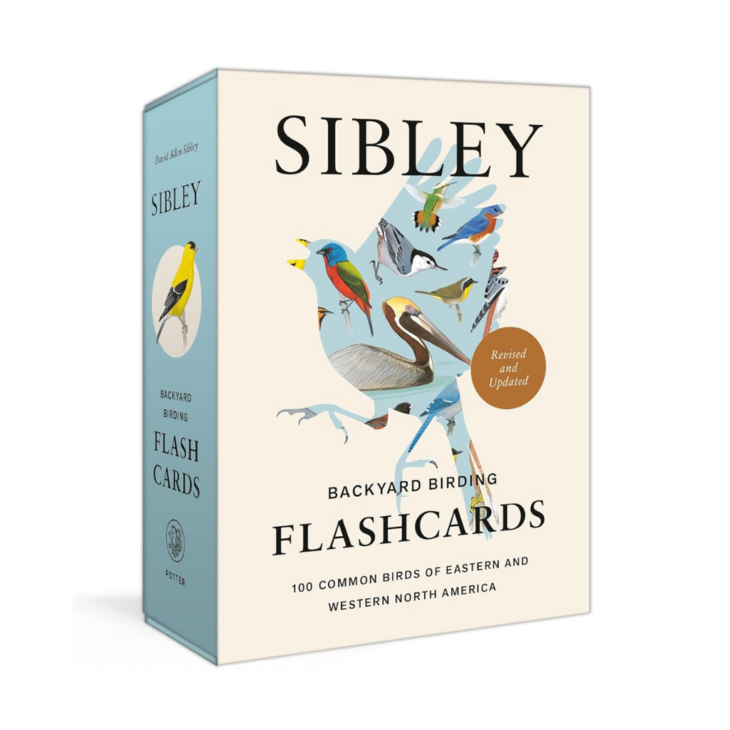 Sibley Backyard Birding Flashcards - Freshie & Zero Studio Shop