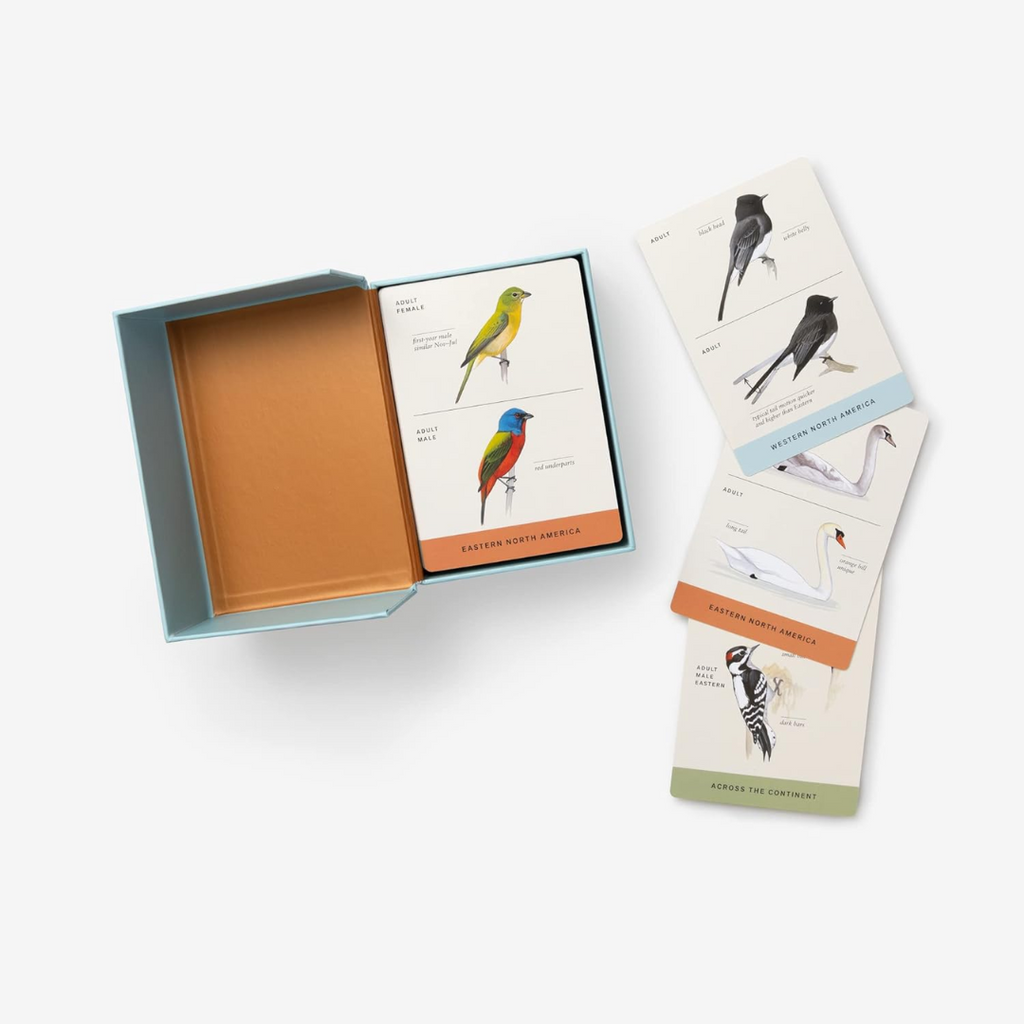 Sibley Backyard Birding Flashcards - Freshie & Zero Studio Shop