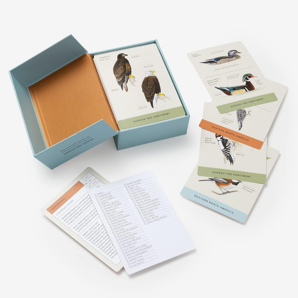 Sibley Backyard Birding Flashcards - Freshie & Zero Studio Shop