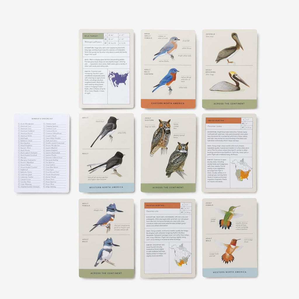 Sibley Backyard Birding Flashcards - Freshie & Zero Studio Shop