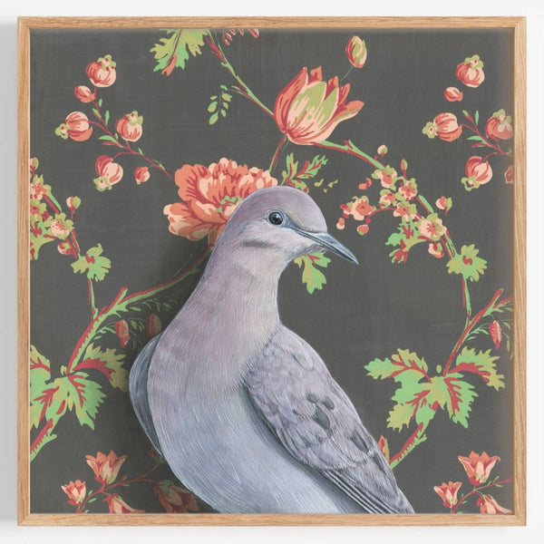 Mourning Dove Illustration - Fine Art Print - Freshie & Zero Studio Shop