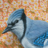 Bluejay Bird Illustration - Fine Art Print - Freshie & Zero Studio Shop