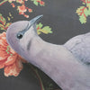 Mourning Dove Illustration - Fine Art Print - Freshie & Zero Studio Shop