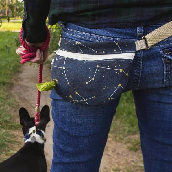 Dog Walk Hip Pack: Constellation - Freshie & Zero