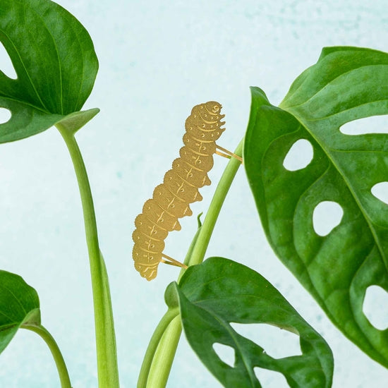 Brass Plant Accessory: Caterpillar - Freshie & Zero Studio Shop
