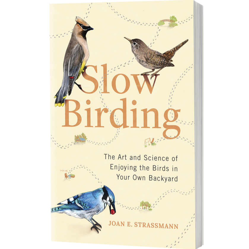 Slow Birding: Enjoying the Birds in Your Own Backyard - Freshie & Zero Studio Shop