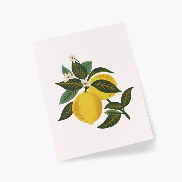 Illustrated Lemon Blossom Blank Card by Rifle Paper - Freshie & Zero Studio Shop