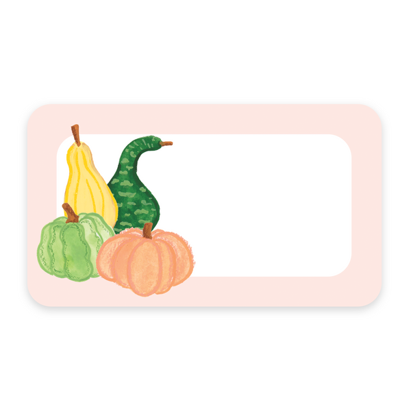 Mini Pumpkin Gourds Notitas greeting cards by Isabella MG featuring autumnal pumpkin gourd illustrations on note cards.