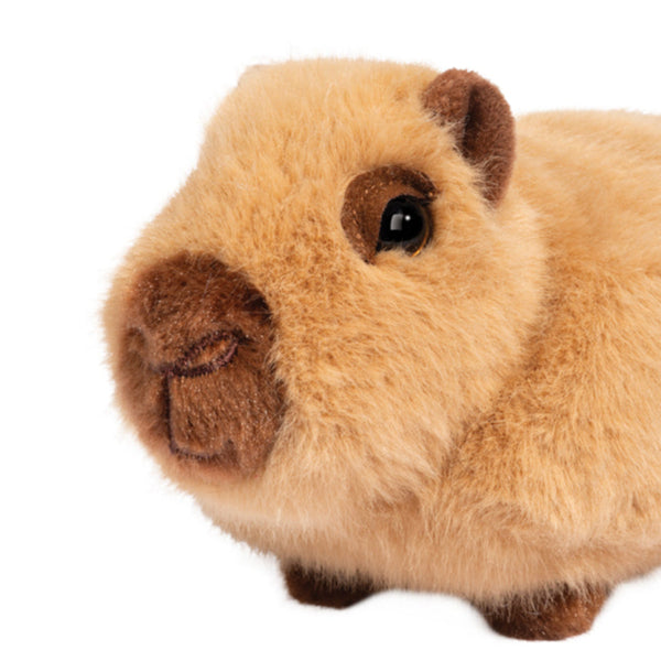Chattie Capybara Mini Soft Plush Toy - Freshie & Zero Studio Shop