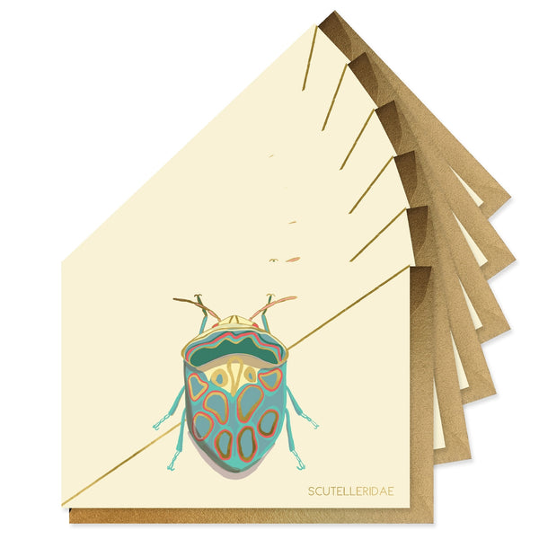 Teal Beetle Stationery Boxed Set of 6 - Freshie & Zero Studio Shop
