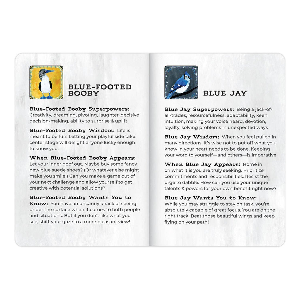 Animal Allies Birds Deck - Freshie & Zero Studio Shop