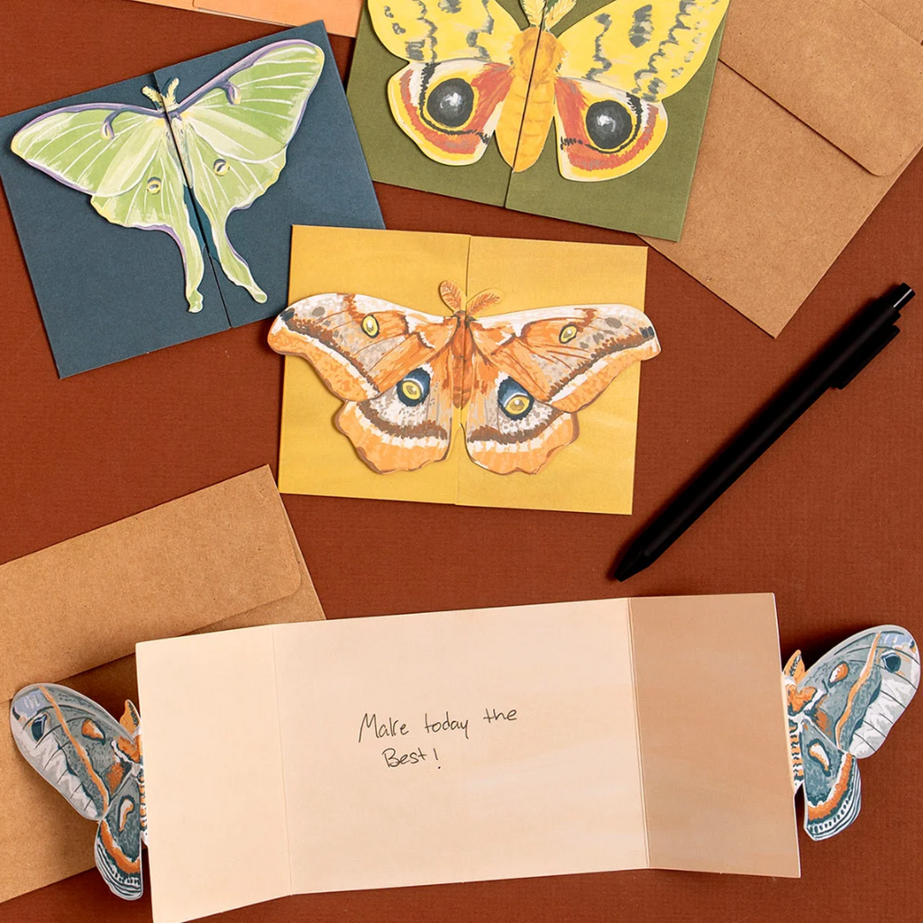 Luna Moths Fold-Out Greeting Card Box Set - Freshie & Zero Studio Shop