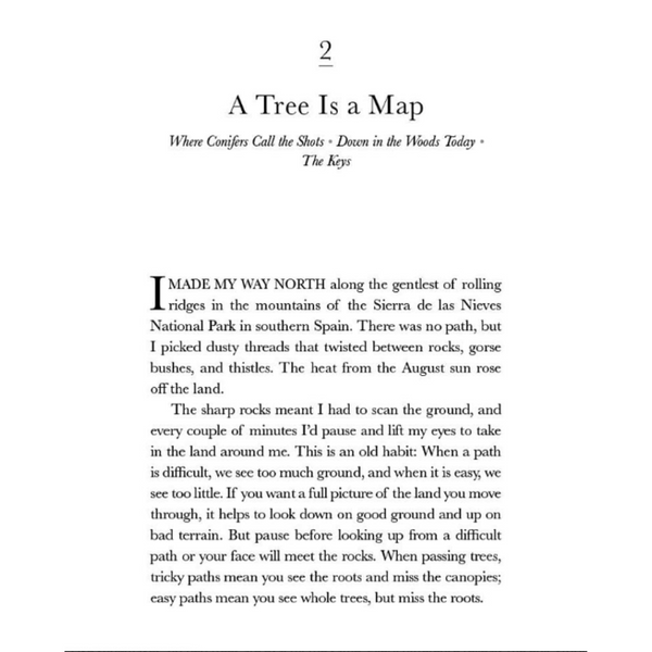 How to Read a Tree: Clues and Patterns from Bark to Leave - Freshie & Zero Studio Shop