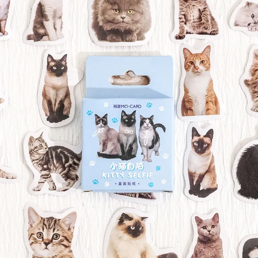 Kawaii Kitten Selfies Paper Sticker Pack - Freshie & Zero Studio Shop