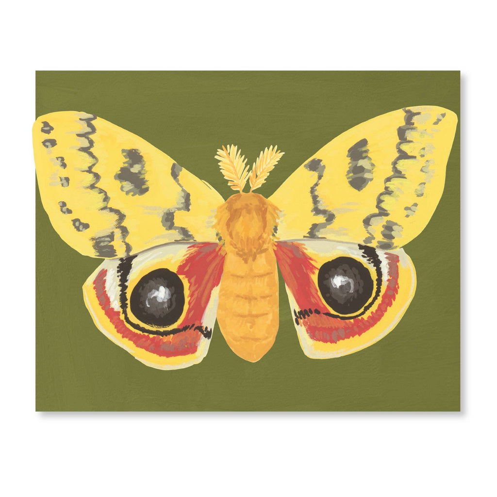 Luna Moths Fold-Out Greeting Card Box Set - Freshie & Zero Studio Shop