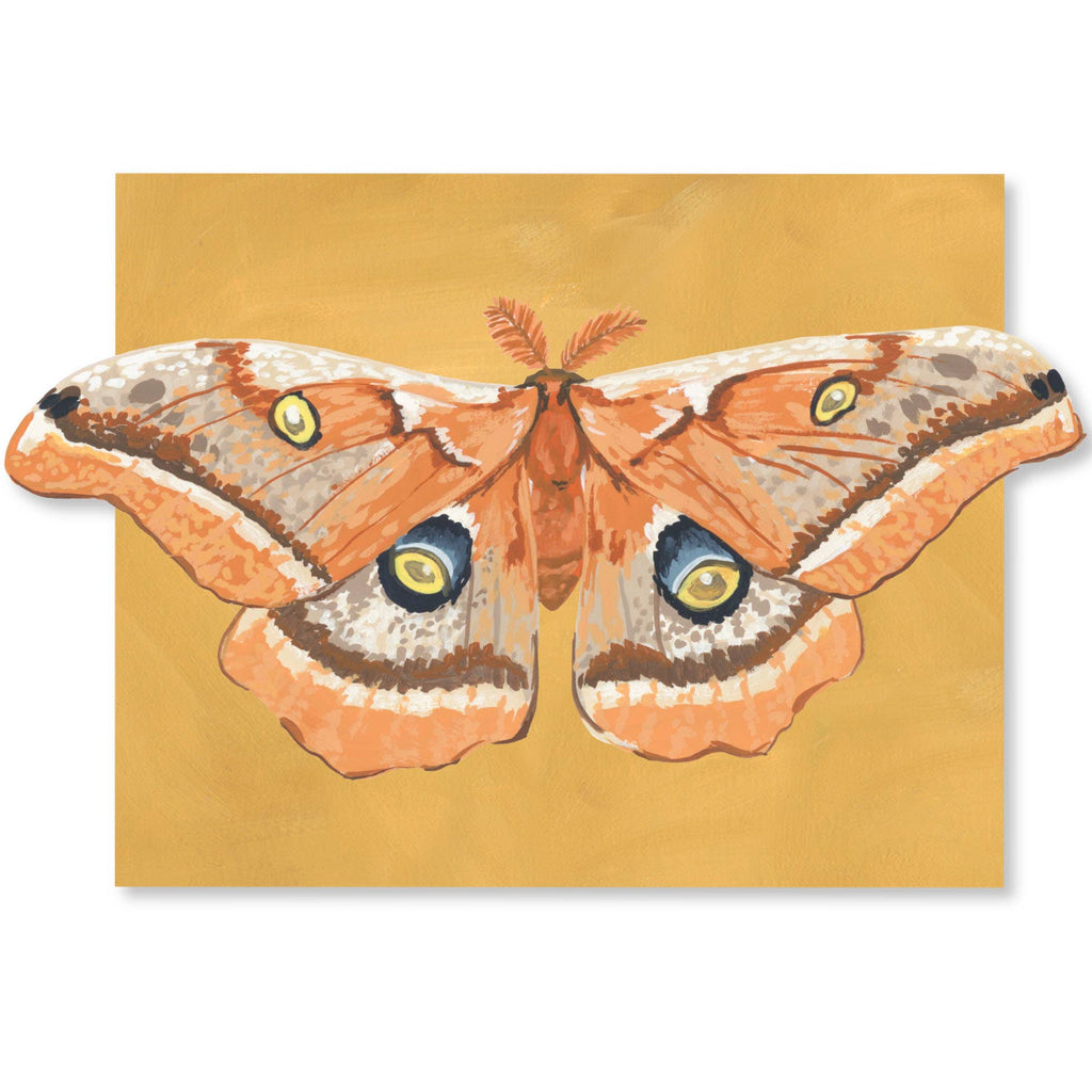 Luna Moths Fold-Out Greeting Card Box Set - Freshie & Zero Studio Shop