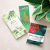 Instant Plant Food for Houseplants & Indoor Plants - Freshie & Zero Studio Shop