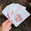 Mushroom Spotter's Card Deck - Freshie & Zero Studio Shop