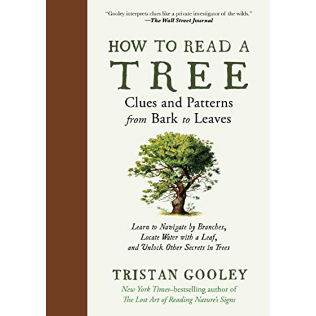 How to Read a Tree: Clues and Patterns from Bark to Leave - Freshie & Zero Studio Shop