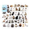 Kawaii Kitten Selfies Paper Sticker Pack - Freshie & Zero Studio Shop