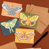 Luna Moths Fold-Out Greeting Card Box Set - Freshie & Zero Studio Shop