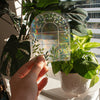 Greenhouse Suncatcher Decal - Freshie & Zero Studio Shop