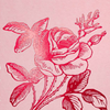 Metallic Rose on Pink Notecards Set - Freshie & Zero Studio Shop