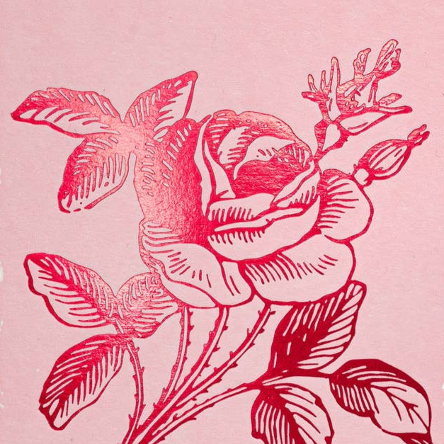 Metallic Rose on Pink Notecards Set - Freshie & Zero Studio Shop