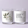 Jasmine and Orange 7oz Just Bee Candle - Freshie & Zero Studio Shop