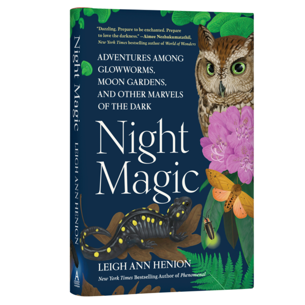 Night Magic: Adventures in the Dark - Freshie & Zero Studio Shop