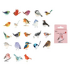 Kawaii Birds Paper Sticker Pack - Freshie & Zero Studio Shop