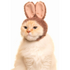Bunny Cap for Cats Blind Box - Freshie & Zero Studio Shop