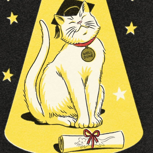 You Did It Graduation Card - Freshie & Zero Studio Shop