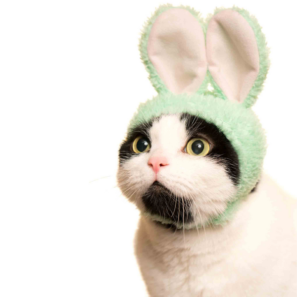 Bunny Cap for Cats Blind Box - Freshie & Zero Studio Shop