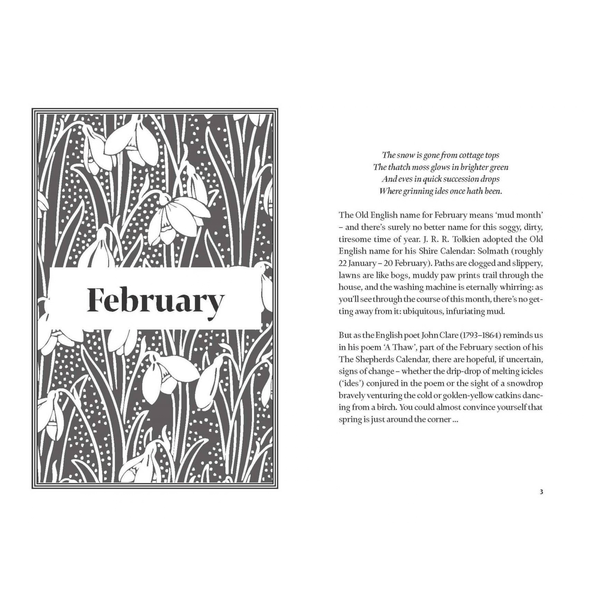 Odes and Nightingales: Nature Writings for Every Day book by Hachette Book Group, cover shown
