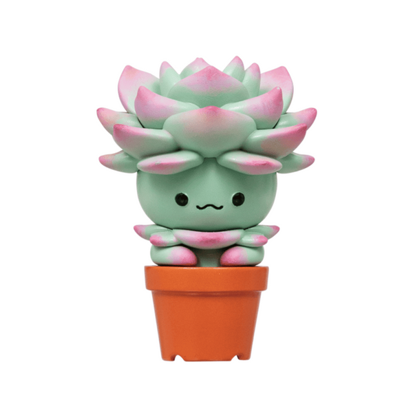 Succulent Friend Blind Box - Freshie & Zero Studio Shop