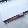 17 Month Planner: Bold Stripe - Freshie & Zero Studio Shop